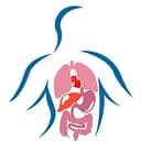 Internal Medicine MD, LLC logo