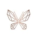 International Cosmetics & Perfumes logo