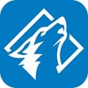 Lone Wolf Exteriors logo