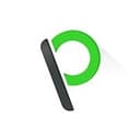 Loopy Cases logo