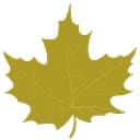 Maple Meadows Assisted Living logo