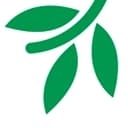 Mennonite Mission Network logo