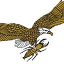 Millennium Termite & Pest logo