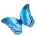 Nationwide Children's Hospital logo