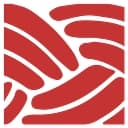 Native Organizers Alliance logo