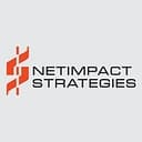 NetImpact Strategies logo