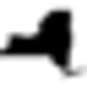 New York State Senate logo