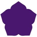 North Carolina Azalea Festival logo