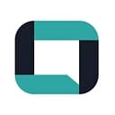 NP Strategy logo