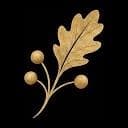 Oak & Algorithm logo