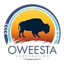 Oweesta logo