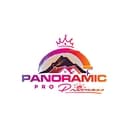 Panoramic Pro Painting logo