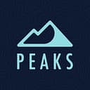 Peaks Digital Marketing logo
