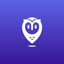 Placer.ai logo