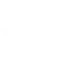 Populus Wealth logo