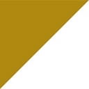 Precision for Medicine logo
