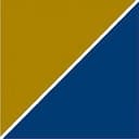 Precision Medicine Group logo