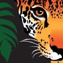 Rainforest Trust logo