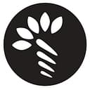 RipeGlobal logo