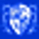Rise Academy logo