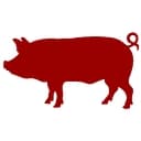 Sauced BBQ& Spirits logo