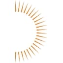 Solar United Neighbors logo