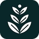 Spring Marketing Co. logo