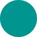 Spring Point Partners logo
