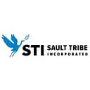 STI Federal logo