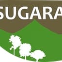 SugarAI logo