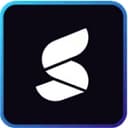 Summize logo