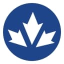 Syndesus, Inc. logo