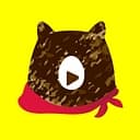 The Bear Connection logo