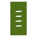 The Dinerstein Companies logo