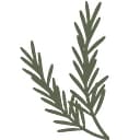The Rosemary Tree logo