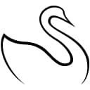 The Skin Center logo