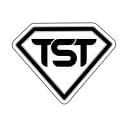 The Solutions Team Inc logo