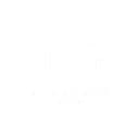 Thesleff Group logo