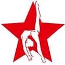 Twist 'N Flip Gymnastics logo