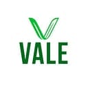VALE Healthy Kitchen logo