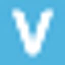 Verathon, Inc. logo