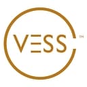 VESS Consulting Group logo