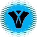 VI Marketing and Branding logo