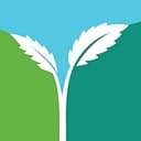 Viridian Enterprises logo