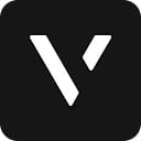 Vise logo
