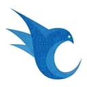 Voxidea logo