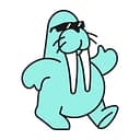 Walrus Foundation logo
