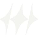 WealthPlus logo