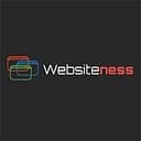 Websiteness Consulting LLC logo