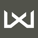 WILEY X INC logo